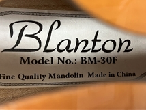 Blanton BM-30F マンドリン Fモデル 弦楽器 ケース 付き ブラントン 中古 C8182914_画像10