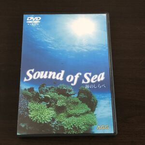 ▲南海の魚ワールド 海のしらべ 映像魚類図鑑 DVD