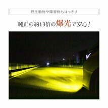 【HID屋】LED フォグランプ H8/H11/H16,HB4 イエロー 13900lm 3000K 黄色 Qシリーズ 送料無料_画像5