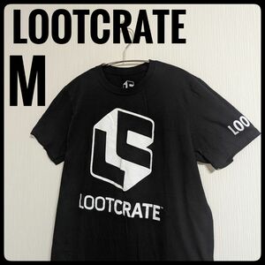 入手困難【LOOTCRATE】vintage Tシャツ USA USED