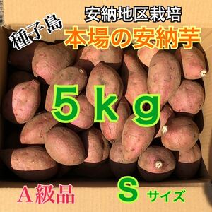 種子島　農家直送！安納地区の安納芋　S 5キロ　A級品