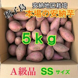 種子島　農家直送！安納地区の安納芋　SS 5キロ　A級品