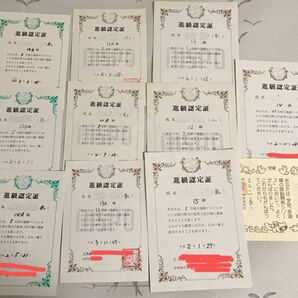 飾り 水泳教室 学研 学習研究所 進級認定証 賞状 11枚セット ニスポ スイムクラブ 記念品 水泳 習い事 コレクション