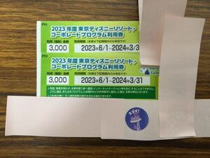 東京ディズニーリゾート コーポレートプログラム 利用券 ディズニーランド ディズニーシー 割引券　3000円×2枚