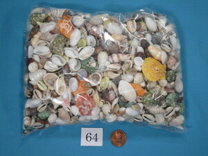 *...* Mix shell (S)*1 kg*No.64