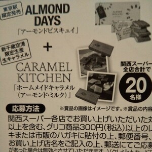 グリンレシート懸賞応募 東京駅限定アーモンドビスキュイ+新千歳空港限定生産ホームメイドキャラメル お菓子詰め合わせ