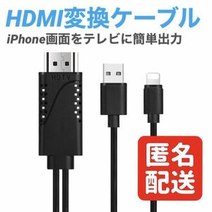 HDMI Lightning 変換ケーブル HDMI分配器 iPhone 画面をテレビから出力