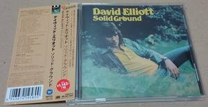 【CD】デイヴィッド・エリオット / ソリッド・グラウンド■新・名盤探検隊/WPCR-15715■DAVID ELLIOTT / SOLID GROUND