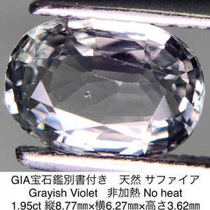 GIA宝石鑑別書付き 天然 サファイア　Grayish Violet 非加熱　No heat 1.95ct 縦8.77㎜×横6.27㎜×高さ3.62㎜ 443Y