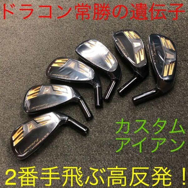 【新品ヘッド 6個】ステルス シム2 パラダイム ローグ ゼクシオ より2番手飛ぶ適合高反発 ワークスゴルフ CBR ブラックプレミア アイアン