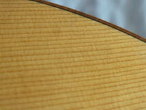 Acoustic Guiter Baden A-CZ_画像7