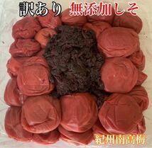 紀州南高梅 訳あり 大粒 無添加しそ 1kg しそ漬け 梅干し　塩分15%_画像1