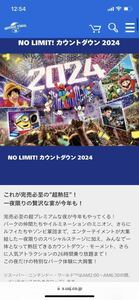 USJ NO LIMIT!カウントダウン2023→2024 チケット ユニバーサルスタジオジャパン パーティ　チケット