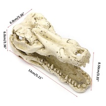■ 水槽 アクアリウム オーナメント ワニ 恐竜の骨 頭蓋骨 ■水槽 人工 装飾的 オーナメント テラリウム クロコダイル スカル F482_画像3