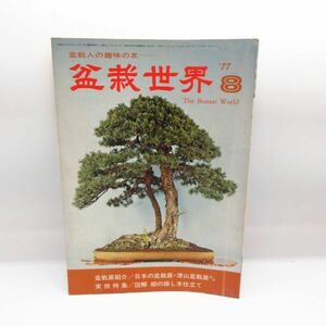  bonsai world 1977 year 8 month number Showa era 52 year illustration .. .. tree tailoring . stone company bonsai gardening retro book@/D1