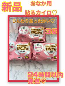 【新品】桐灰じんわり温かいおなか用カイロ　3袋