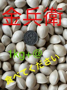 送料無料★金504★ 銀杏　茨城県産 金兵衛　1kg+@