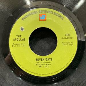 【EP】The Apollas - Seven Days / Open The Door, Fool 1968年USオリジナル Warner Bros. - Seven Arts Records 7181 