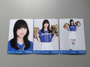 乃木坂46　五百城茉央　生写真　ベースボールシャツ 2023　コンプ