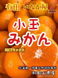 小玉　S以下　ミックス　和歌山県産　みかん　家庭用　数量限定　早い者勝ち　セール　特価価格