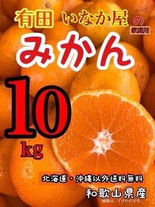 タイムセール！和歌山県産　みかん　家庭用　数量限定　早い者勝ち　セール　特価価格