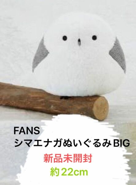 FANS　シマエナガぬいぐるみBIG しまえなが　ぬいぐるみ