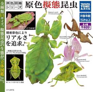 原色図鑑シリーズ 擬態昆虫 全４種類 リアルフィギュア オオコノハムシ ヒシムネカレハカマキリ ハナカマキリ コノハカマキリ 立体図鑑 ☆