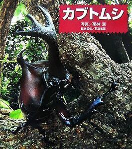 カブトムシ(１) ドキドキ！生きもの発見／栗林慧【写真】，日高敏隆【総合監修】