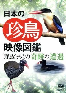 シンフォレストＤＶＤ　日本の珍鳥映像図鑑　野鳥たちとの奇跡の遭遇／（趣味／教養）