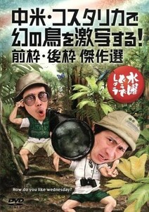 特製フィギュア 大ケツァール展看板 【水曜どうでしょう DVD 第22弾】 中米コスタリカで幻の鳥を激写する！ /前枠後枠 傑作選 HTB