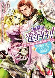 ただ今、蜜月中！ 騎士と姫君の年の差マリアージュ＋新婚生活にキケンな誘惑！？ ジュエル文庫／永谷圓さくら(著者)