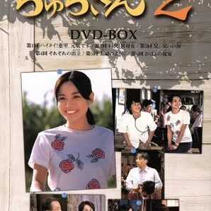 ちゅらさん２ ＤＶＤ－ＢＯＸ／国仲涼子,堺正章,山田孝之,小橋賢児,田中好子,山口あゆみ,平良とみ,岡田惠和（脚本）の画像1