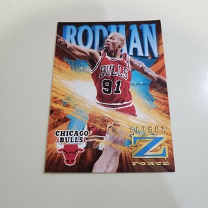 デニスロッドマン　トレーディングカード シカゴブルス NBA 14　ベースカード コレクション スカイボックス SKYBOX