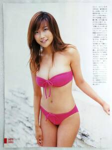 送料込み 【佐藤江梨子】 雑誌 切り抜き ７ページ ビキニ 水着 グラビア 7P