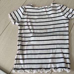 ボーダー 半袖