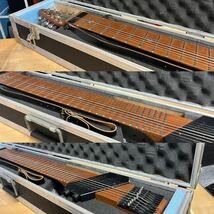 CHAPMAN Stick チャップマン スティック 10弦 ハードケース付き 美品_画像6