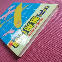 【古書】 切り抜いて飛ばす スポーツタイプの紙飛行機 PART 3 摺本好作著 新星出版社　1983年_画像4