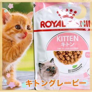 ロイヤルカナン　猫　子猫　キトン　グレービー　85g19個　キャットフード