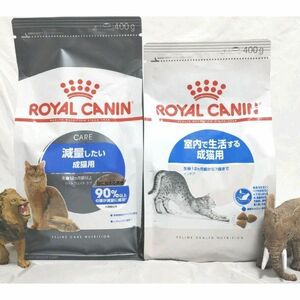 限定 ロイヤルカナン 猫 キャットフード インドア 室内用 と減量したい成猫用　#鍵しっぽネコの森キャットフード