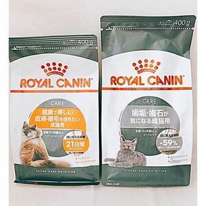  Royal kana mhe earth gold . oral care set cat cat food # key ... cat. forest cat food 