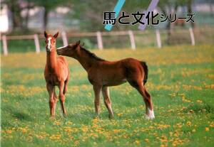 希少　記念切手　コレクション　馬と文化シリーズ　セレクション冊子　切手セット★★☆☆☆☆