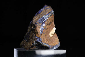 ボルダーオパール 特有の青さ 41g 天然石 結晶 原石 鉱物 標本 コレクション | オーストラリア クイーンズランド産