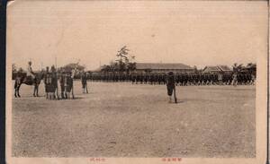 絵葉書　軍隊生活　分列式　軍馬軍人兵隊等　1銭5厘切手貼付　長野県上水内郡某氏宛エンタイア実逓便はがき