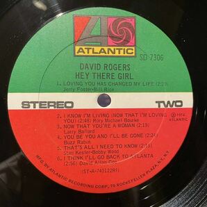 【US盤Org.】David Rogers Hey There Girl (1974) Atlantic SD 7306の画像4