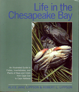 ★Life in the Chesapeake Bay/チェサピーク湾の生き物/洋書(英語版)★ (管-y84)