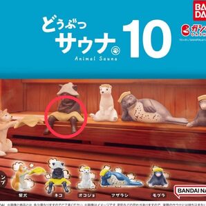 どうぶつサウナ10 ネコ