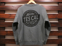 新品 Lサイズ TES エンドレスサマー オールドサイン ロゴ スウェット グリーングレー The Endless Summer OLD SIGN LOGO SWEAT CREW NECK_画像1