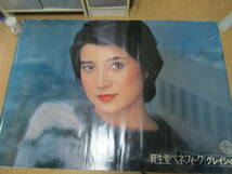 ◎当時物　資生堂ポスター　横須賀昌美　ベネフィークグレイシィ　約103ｘ146ｃｍ_画像1