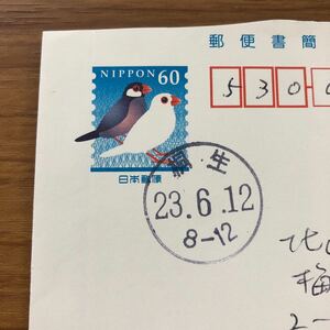 ★エンタイア　郵便書簡　文鳥60円　丸型日付印　機械日付印　50通