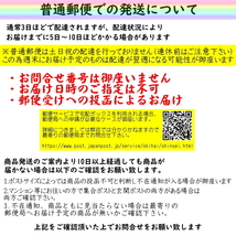 BUST BEAT ホンダ 純正 ギャザズ カーナビ バックカメラ リアカメラ 変換ケーブル 入力ハーネス コンポジット RCA入力 8P_画像2